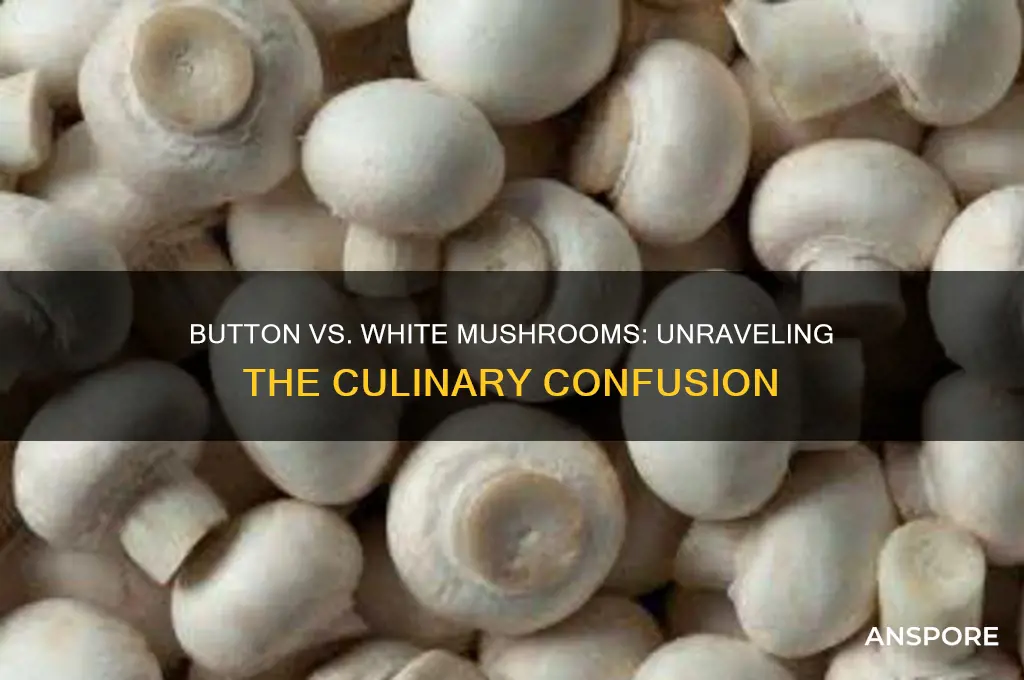 is a button mushroom the same as a white mushroom