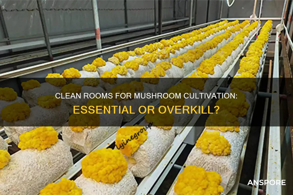 is a clean room necessary for mushroom cultivation