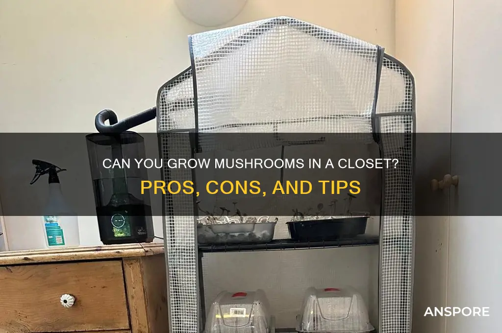 is a closet a good place to grow mushrooms