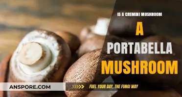 Cremini vs. Portabella: Are They the Same Mushroom?