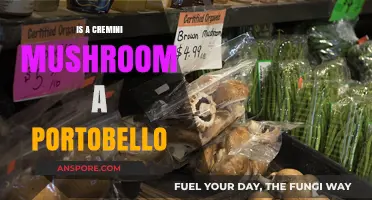 Cremini vs. Portobello: Unveiling the Mushroom Connection and Differences