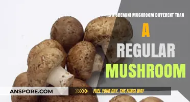 Cremini vs. Regular Mushrooms: Unveiling the Differences and Similarities