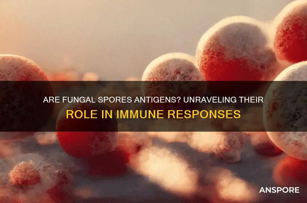 is a fungul spore an antigen