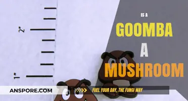 Goomba: Mushroom or Not?