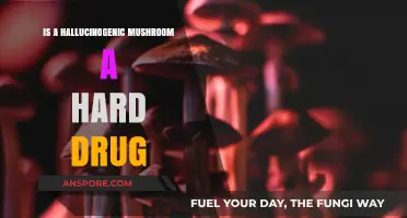 Are Hallucinogenic Mushrooms Hard Drugs? Exploring Risks and Classification