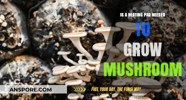 Do Mushrooms Need Heating Pads for Successful Growth?
