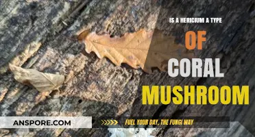 Hericium vs. Coral Mushrooms: Unraveling the Fungal Classification Mystery