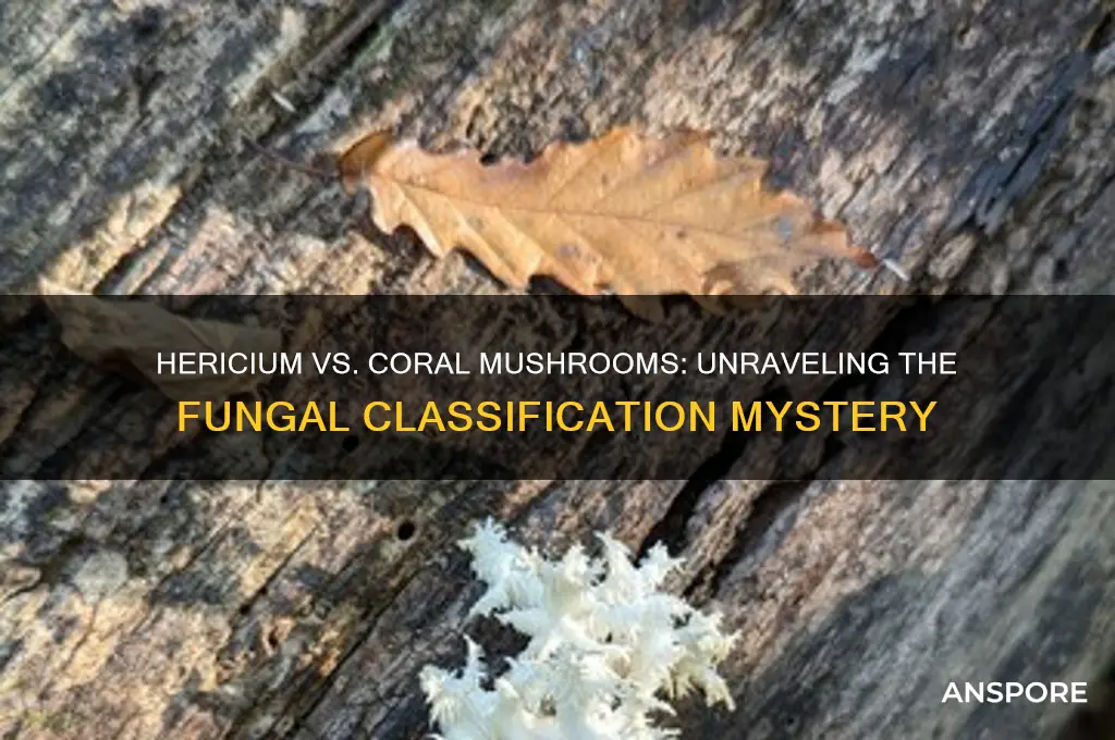 is a hericium a type of coral mushroom