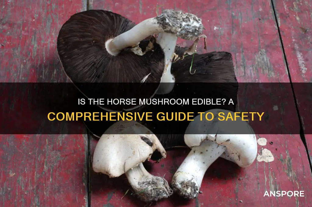 is a horse mushroom edible