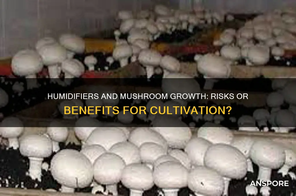 is a humidifier bad for growing mushrooms