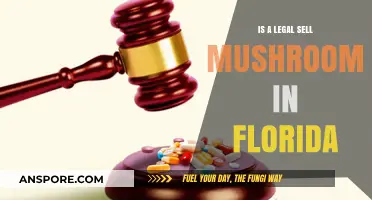 Is Selling Mushrooms Legal in Florida? A Comprehensive Guide