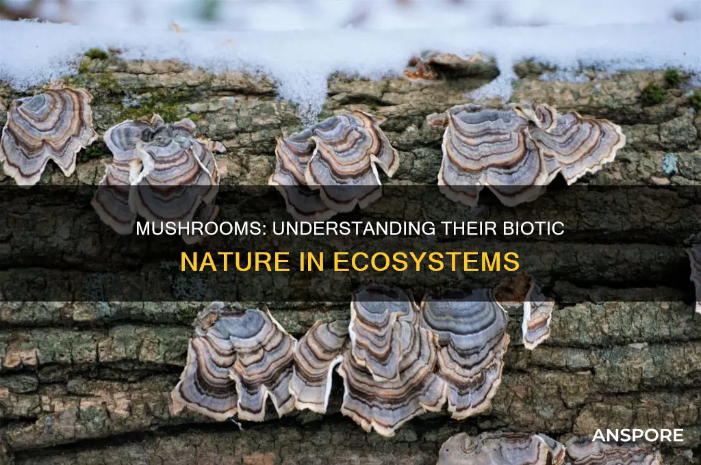 is a mushroom a abiotic or biotic