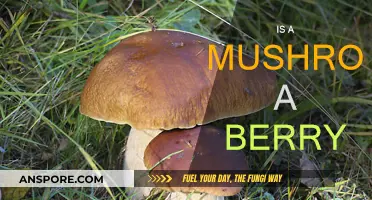 Mushroom Mystery: Are They Berries?