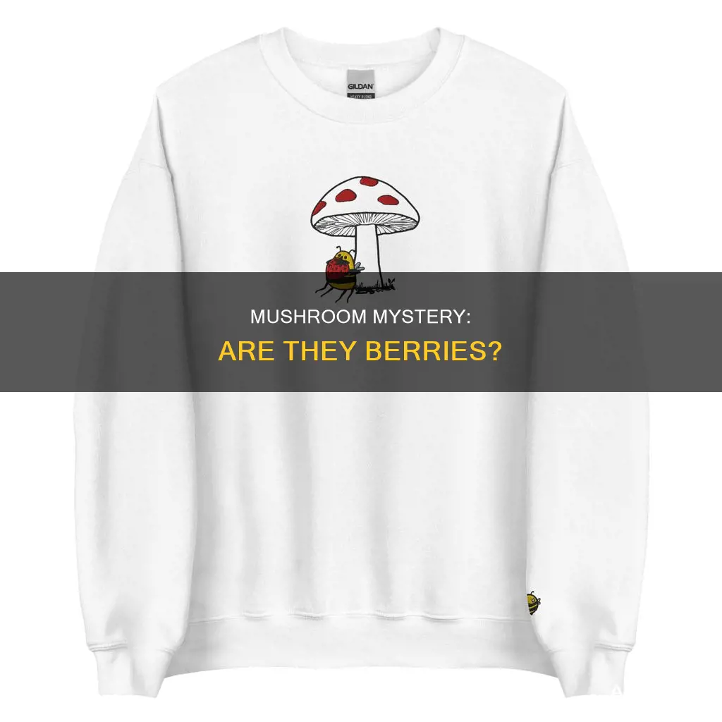 is a mushroom a berry