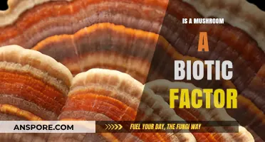 Mushrooms: Unveiling Their Role as Biotic Factors in Ecosystems