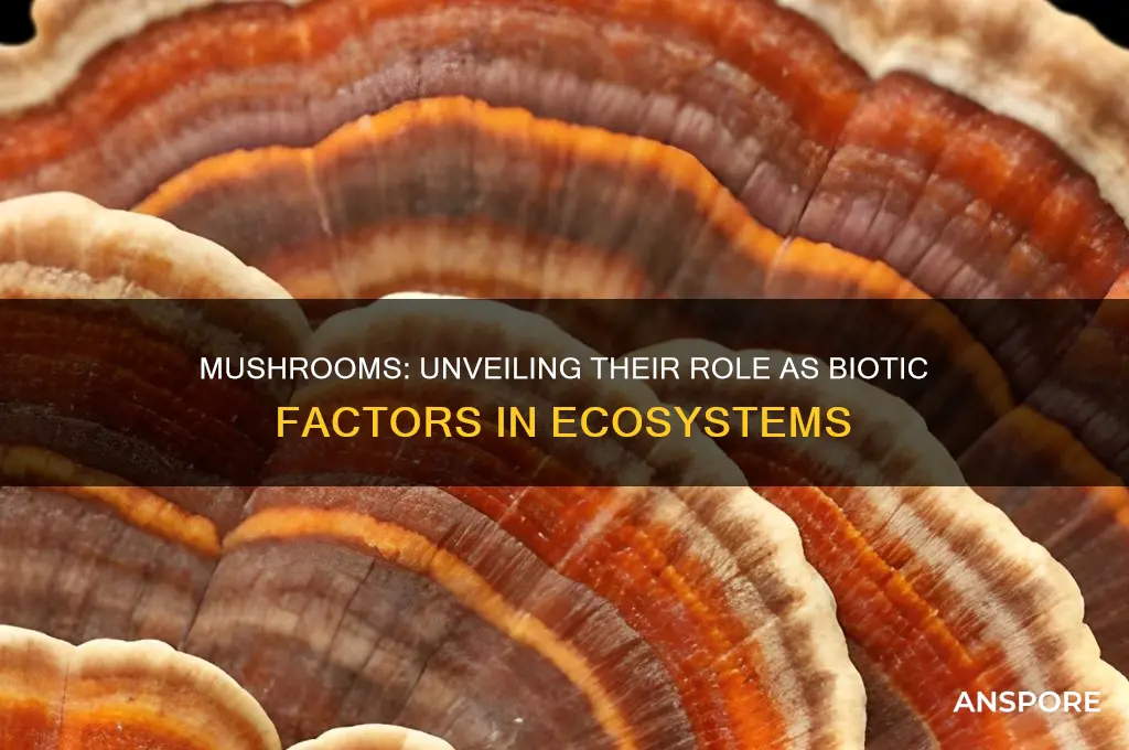 is a mushroom a biotic factor