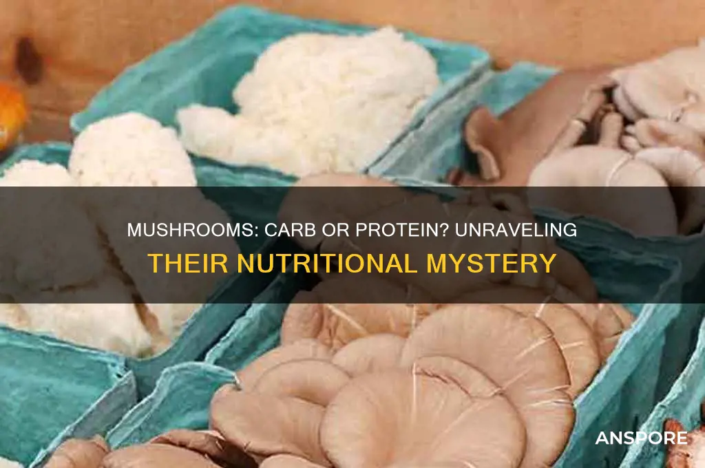 is a mushroom a carb or protein