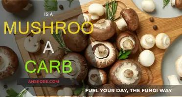 Mushroom Carb Content: What You Need to Know