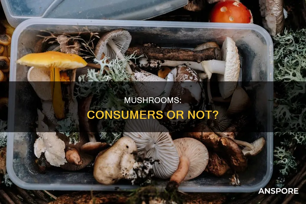 is a mushroom a consumer