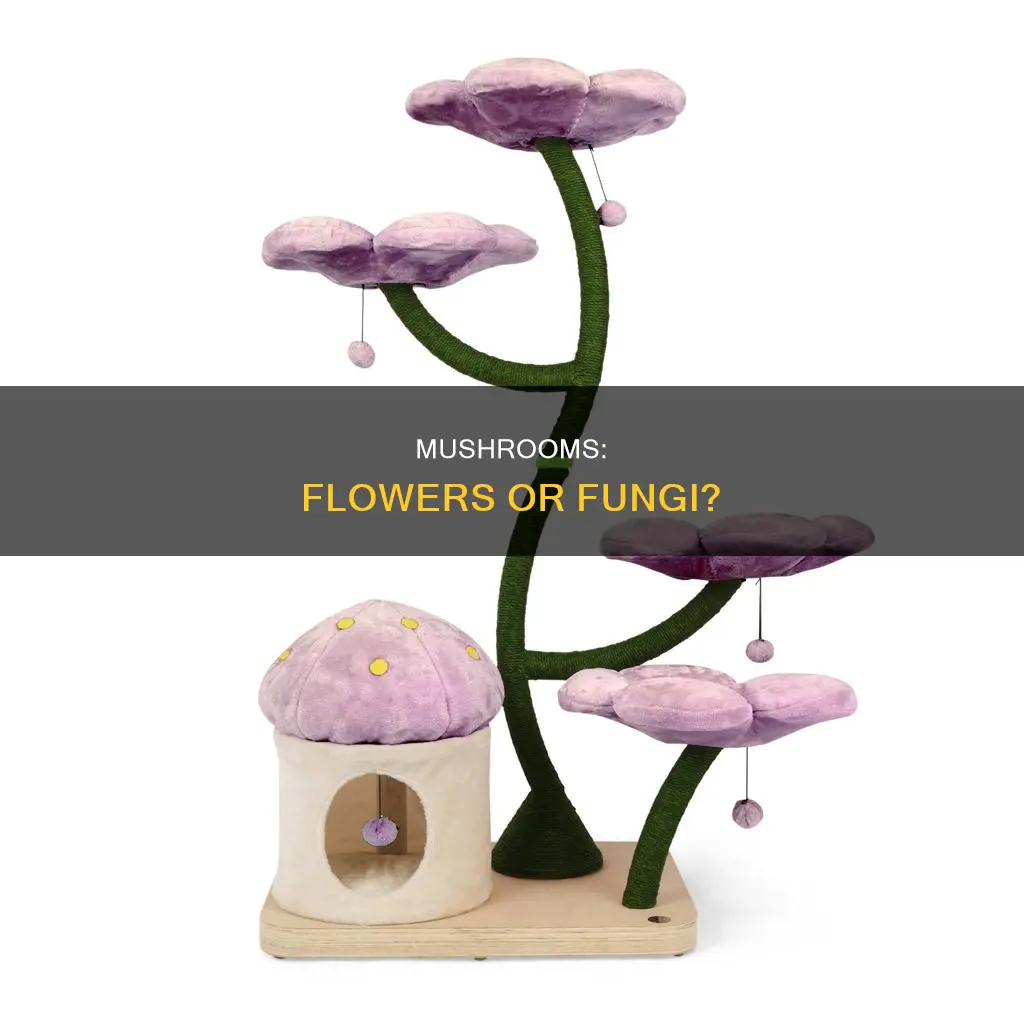 is a mushroom a flower
