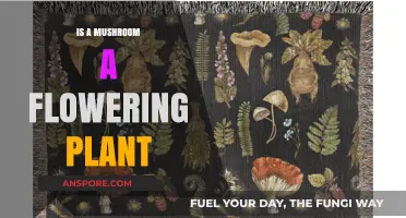Are Mushrooms Flowering Plants? Unraveling the Botanical Mystery
