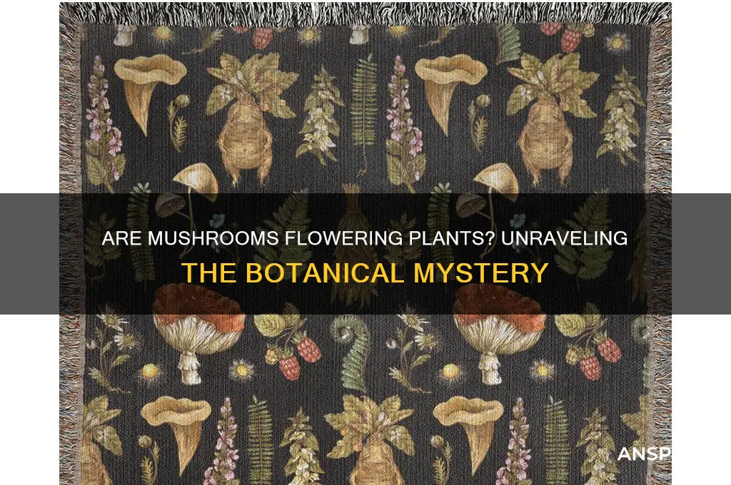 is a mushroom a flowering plant