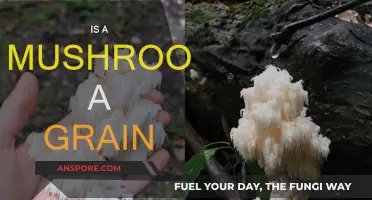 Mushrooms: Grains or Not?