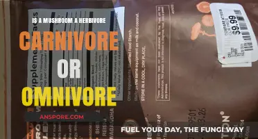 Are Mushrooms Herbivores, Carnivores, or Omnivores? Unveiling the Truth