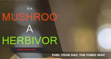 Herbivores and Mushrooms: A Complex Relationship