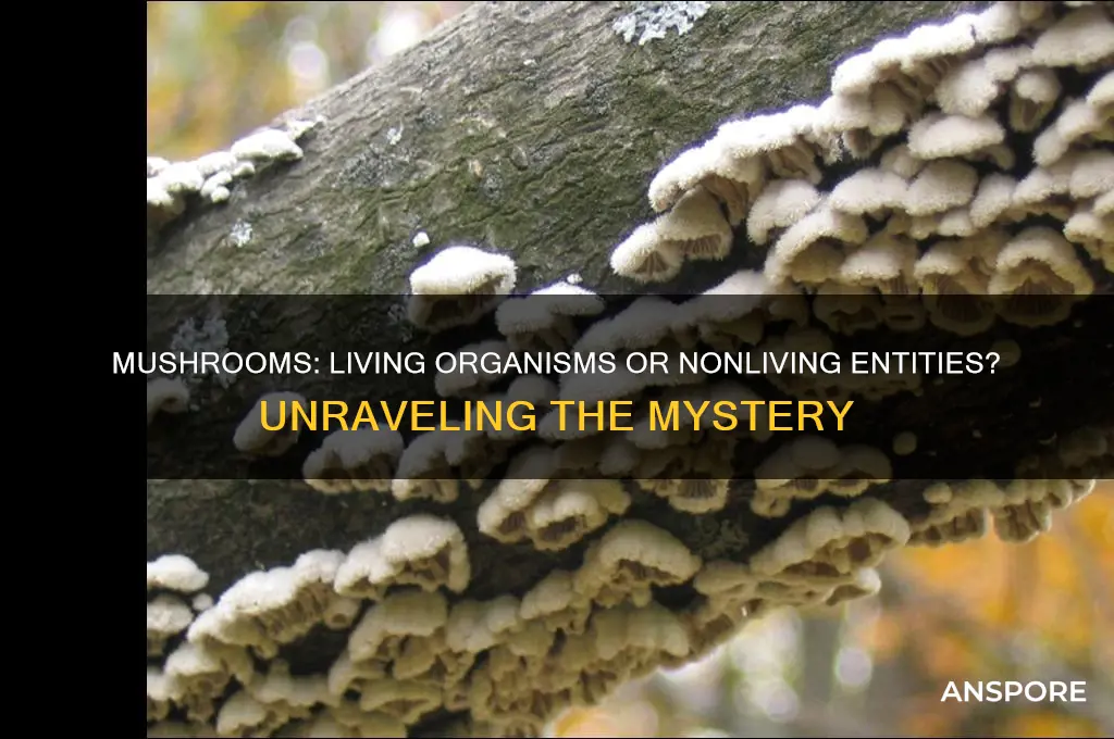 is a mushroom a living or nonliving thing