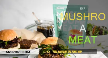 Mushroom: Meat or Not?