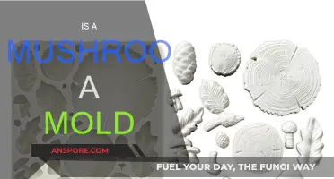 Mushrooms: Mold's Magical Cousins?