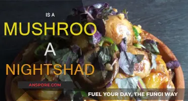 Mushroom Mystery: Nightshade Family Secrets