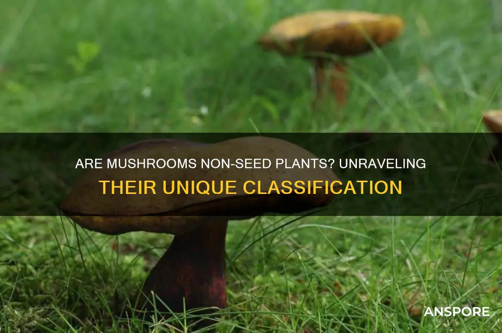 is a mushroom a non seed producing plant
