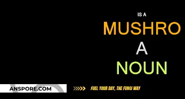 Mushroom Noun: What's the Deal?