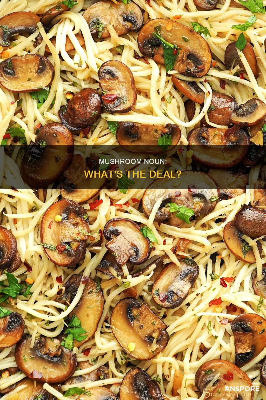 is a mushroom a noun