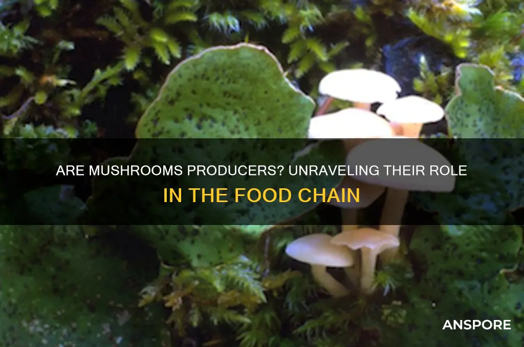 is a mushroom a producer in the food chain
