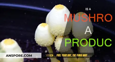 Mushrooms: Nature's Producers and Decomposers