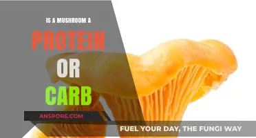 Mushrooms: Protein or Carb? Unraveling Their Nutritional Mystery