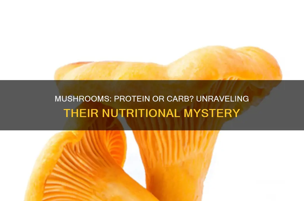 is a mushroom a protein or carb
