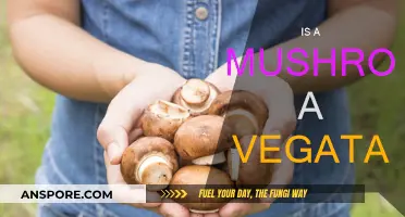 Mushrooms: Vegetables or Not?