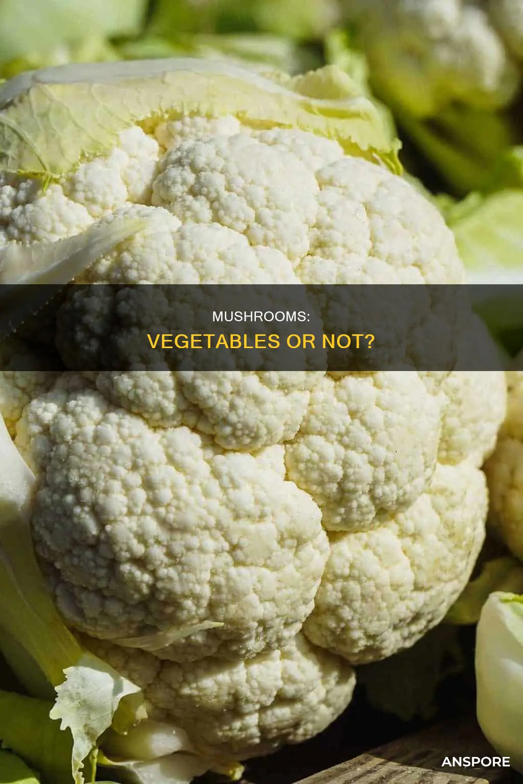 is a mushroom a vegatable