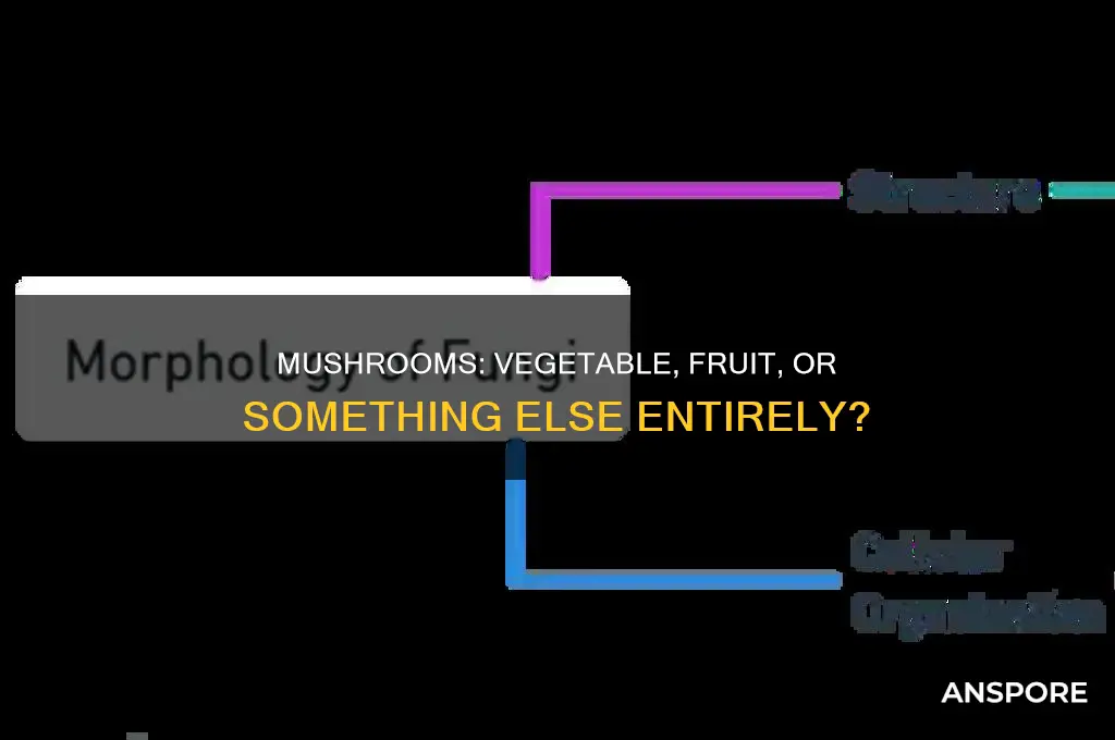is a mushroom a vegetable or a fruit