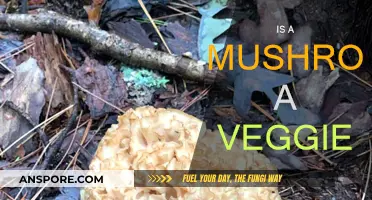 Mushrooms: Veggie or Fungus?