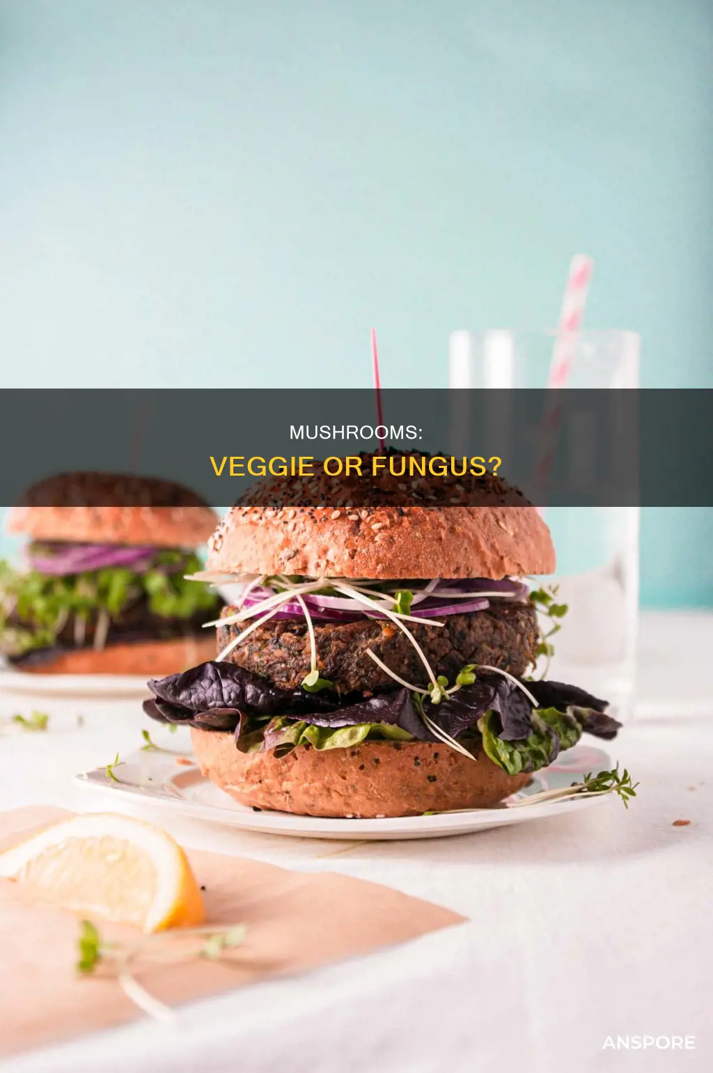 is a mushroom a veggie