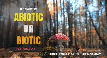 Mushrooms: Understanding Their Biotic Nature in Ecosystems
