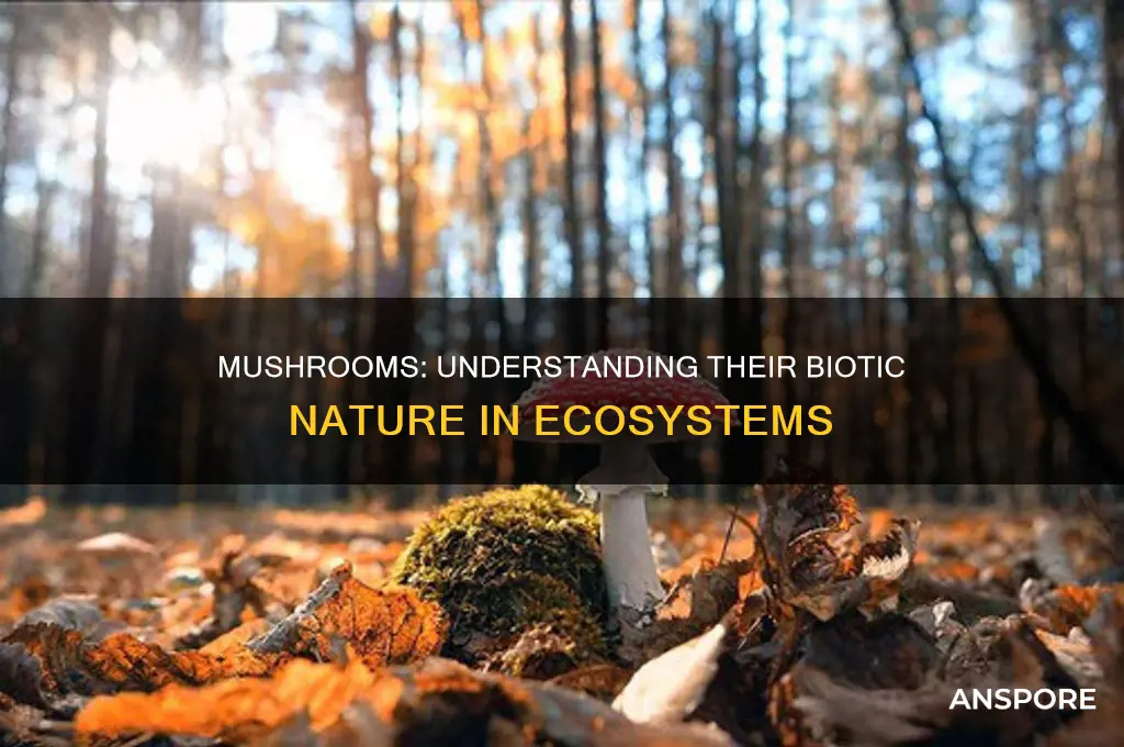 is a mushroom abiotic or biotic