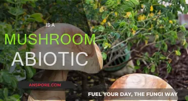 Mushrooms: Living Organisms or Not?