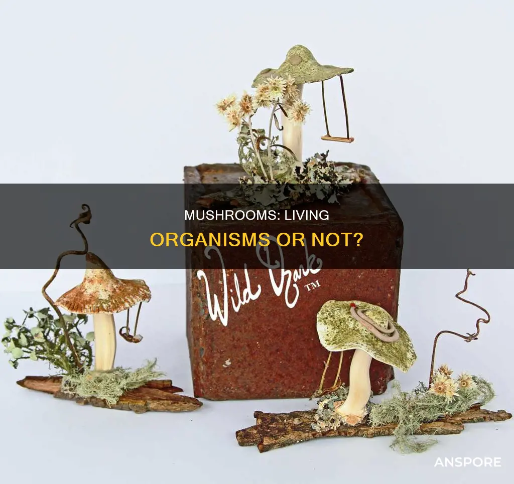 is a mushroom abiotic