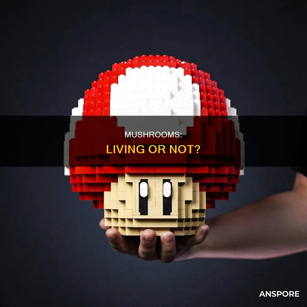 is a mushroom alive
